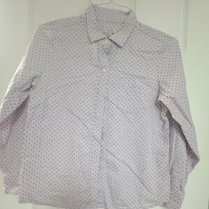 Jcrew Purple Button Down